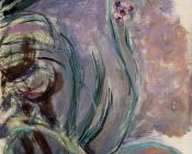 克劳德 莫奈 : Irises